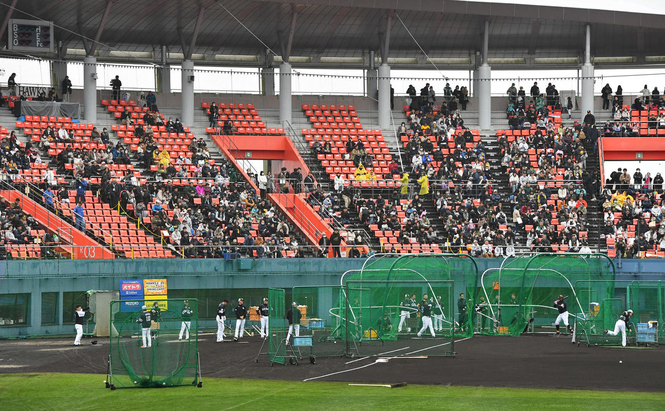 近藤、柳田、山川、ウォーカーのランチ特打を見つめるソフトバンクファン（撮影・岩下翔太）