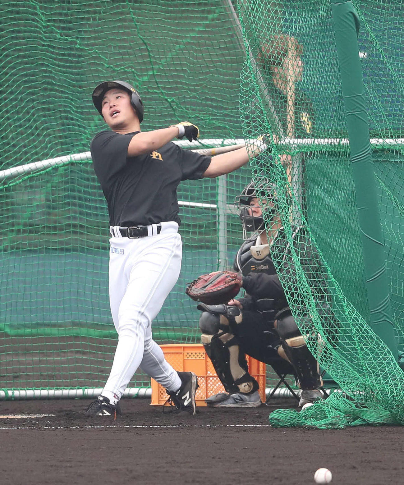 特打で快音を響かせる井上（撮影・梅根麻紀）