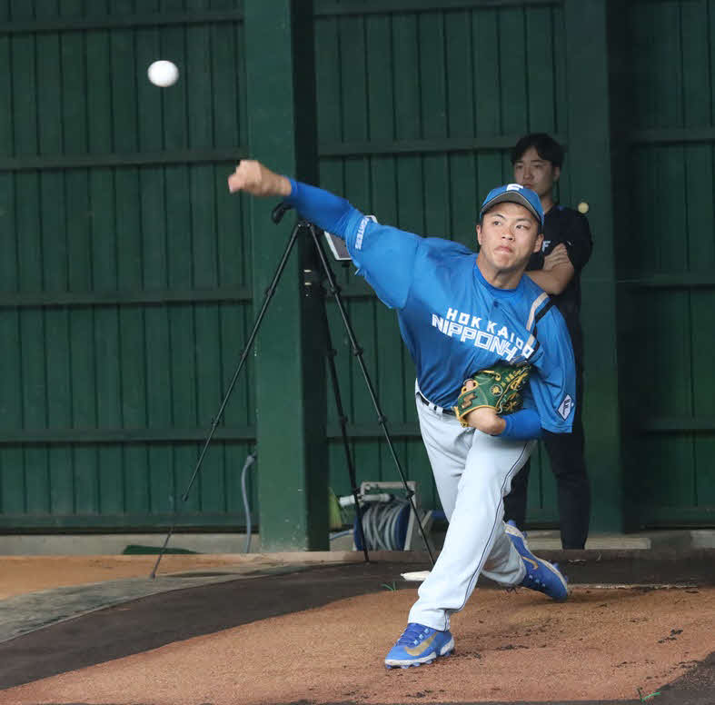 今キャンプで初めてブルペン入りした日本ハム孫（撮影・永野高輔）