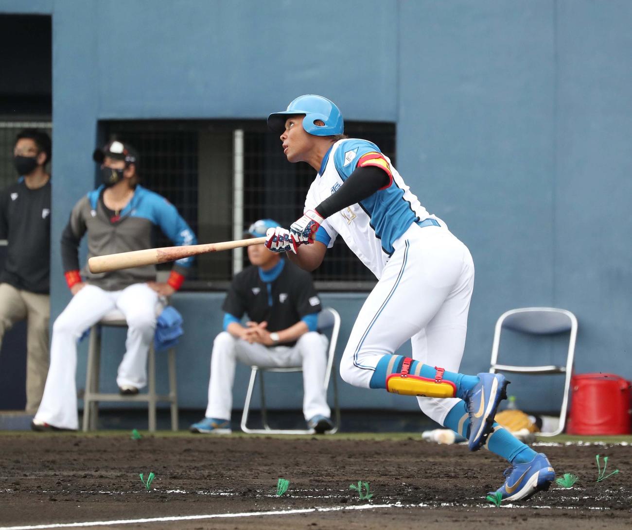 日本ハム紅白戦　2回裏白組1死、右中間に本塁打を放つ水谷（撮影・黒川智章）
