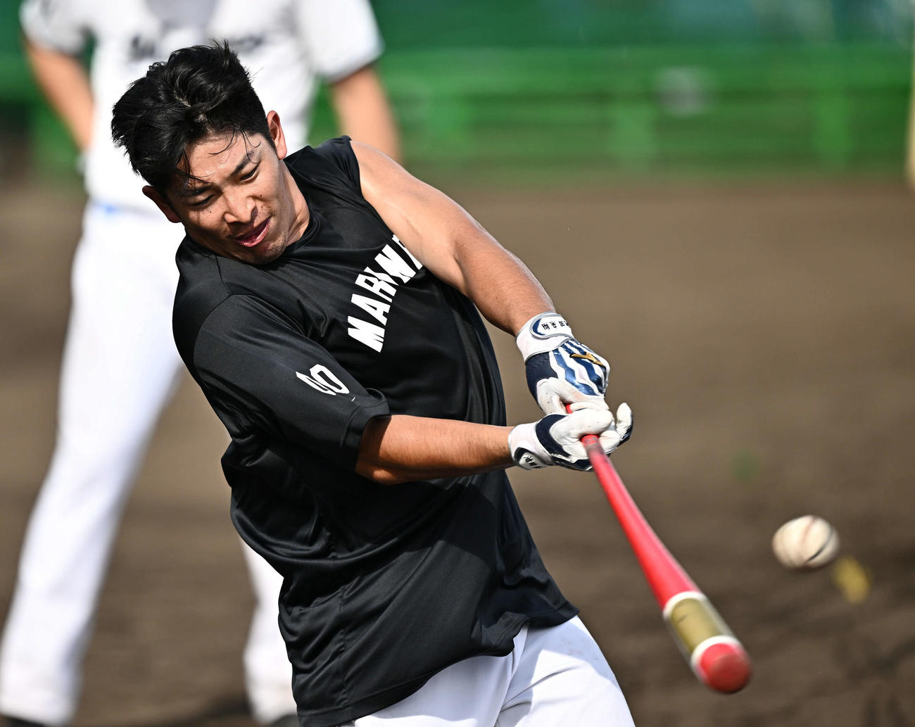 ロングティーするロッテ池田（撮影・滝沢徹郎）
