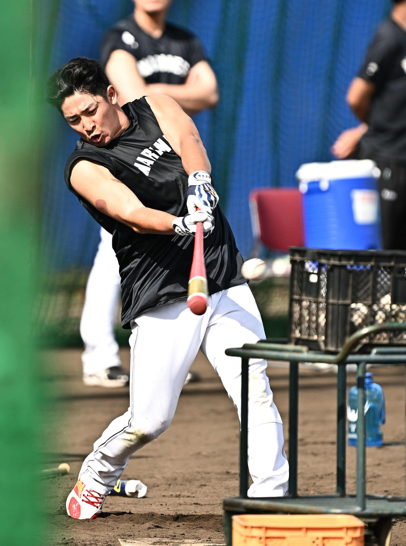 ロングティーするロッテ池田（撮影・滝沢徹郎）