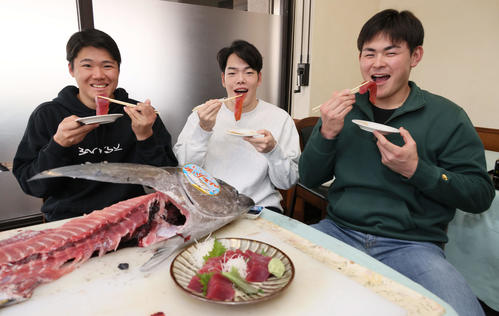 キャンプ初の休日、キャンプ初の休日、マグロの解体ショー後、キハダマグロの刺身を食べる左から広島ドラフト2位の高、ドラフト3位の滝田、ドラフト5位の赤塚（撮影・加藤孝規）