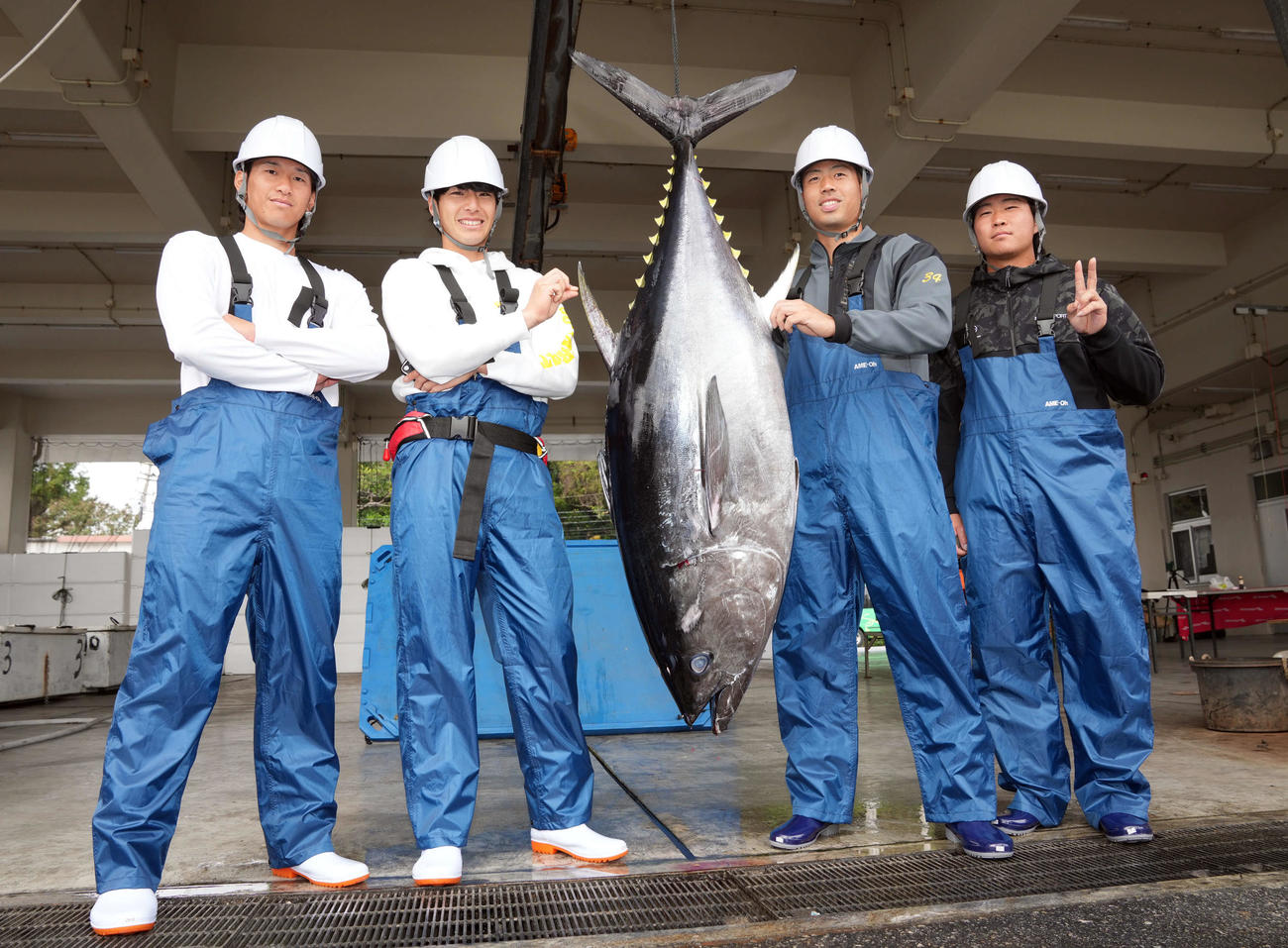 マグロと記念撮影に納まる、左からDeNA井上、度会、松本、石上（撮影・たえ見朱実）