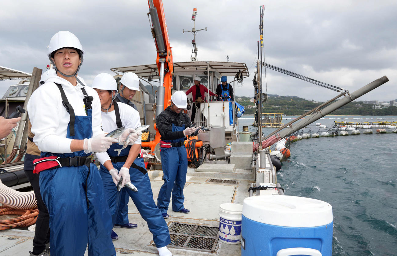 マグロの養殖場で餌やり体験をするDeNAドラフト1位の度会（左）ら新人選手（撮影・たえ見朱実）