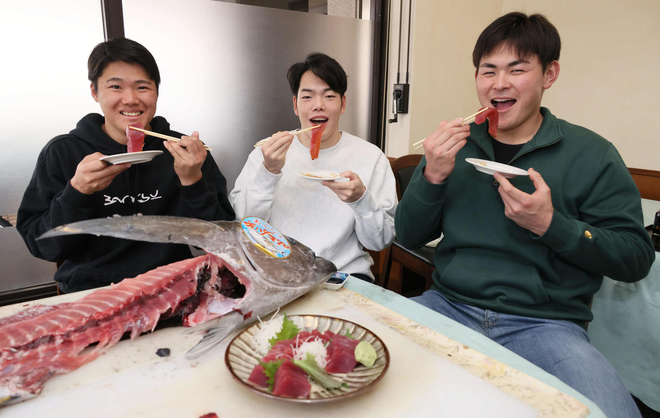 マグロの解体ショー後、キハダマグロの刺身を食べる左から広島ドラフト2位の高、ドラフト3位の滝田、ドラフト5位の赤塚（撮影・加藤孝規）