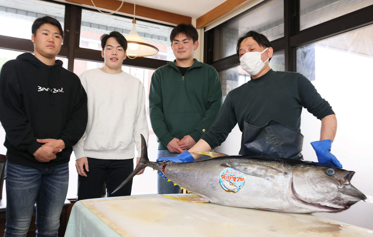 キャンプ初の休日、マグロの解体ショーを見学する左から広島ドラフト2位の高、ドラフト3位の滝田、ドラフト5位の赤塚（撮影・加藤孝規）
