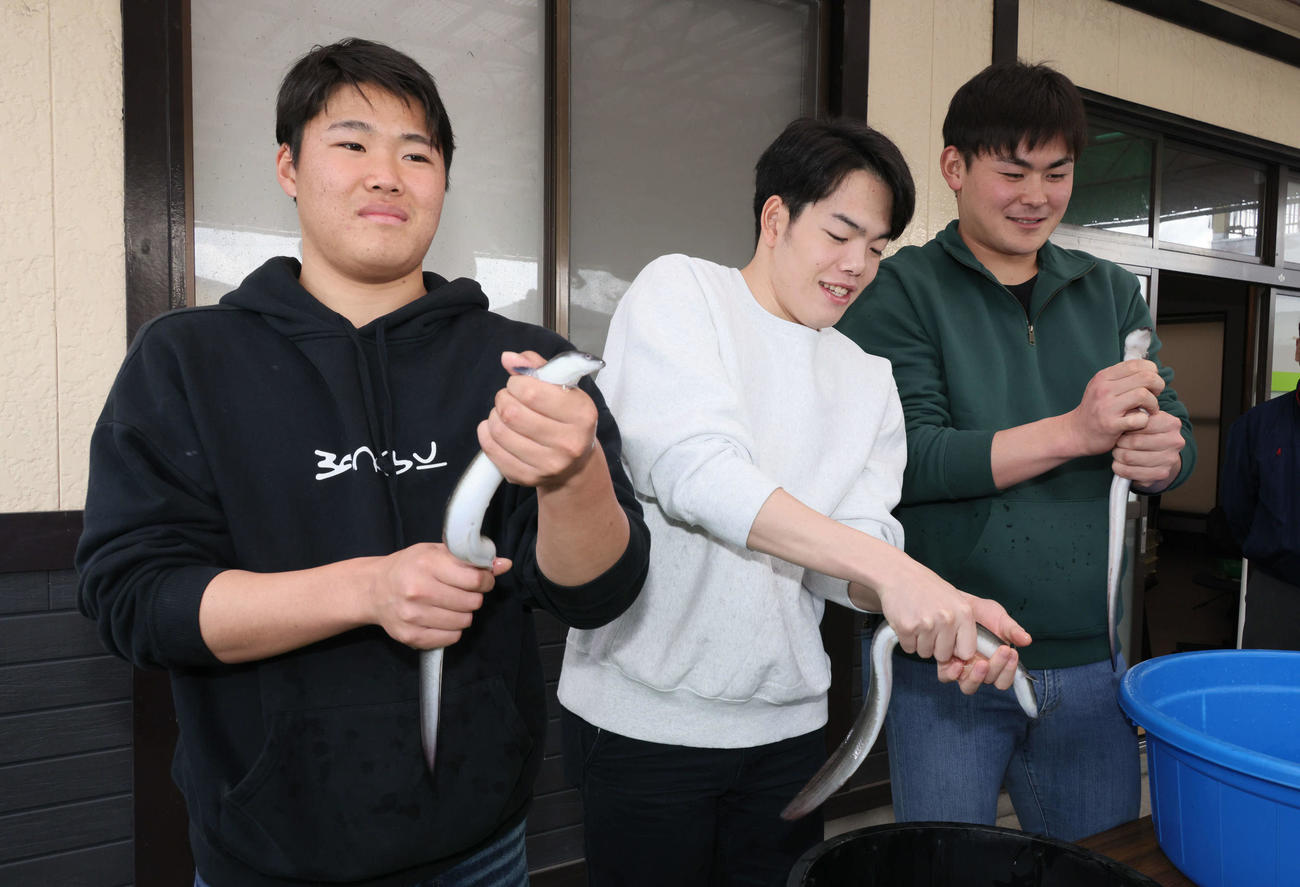 ウナギのつかみ取りをする左から広島ドラフト2位の高、ドラフト3位の滝田、ドラフト5位の赤塚（撮影・加藤孝規