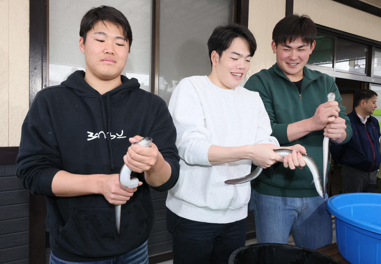 キャンプ初の休日、ウナギのつかみ取りをする左から広島ドラフト2位の高、ドラフト3位の滝田、ドラフト5位の赤塚（撮影・加藤孝規）