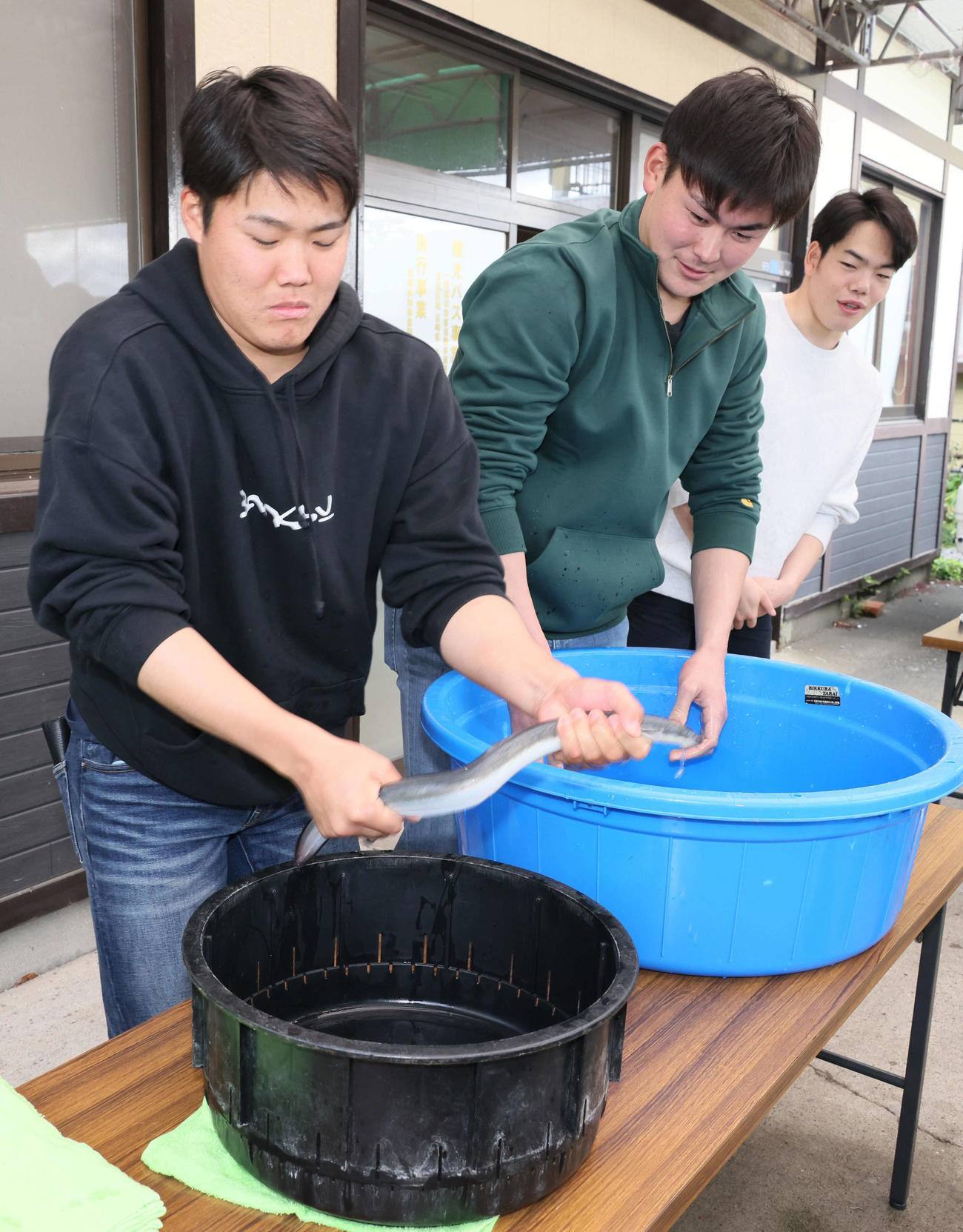 キャンプ初の休日、ウナギのつかみ取りをする左から広島ドラフト2位の高、ドラフト5位の赤塚、ドラフト3位の滝田（撮影・加藤孝規）