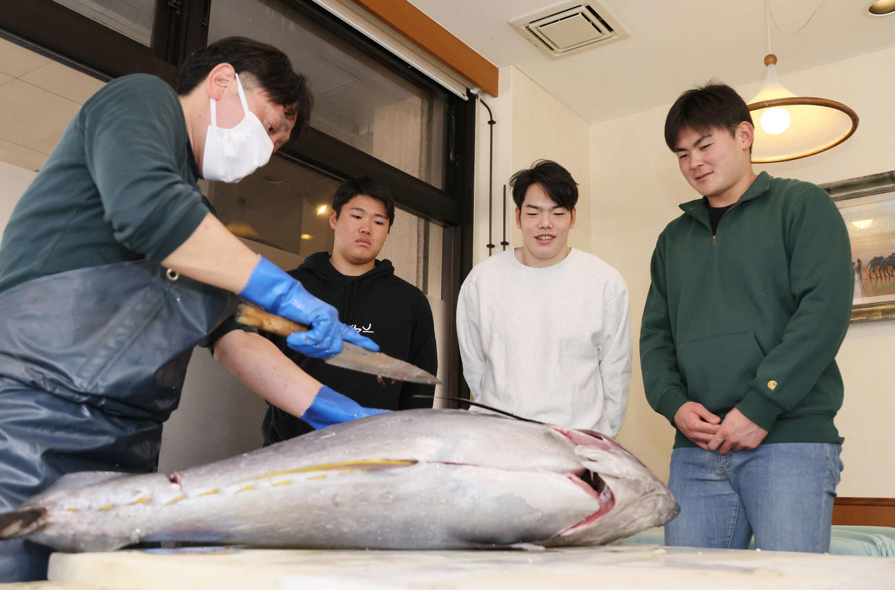 キャンプ初の休日、マグロの解体ショーを見学する左2人目から広島ドラフト2位の高、ドラフト3位の滝田、ドラフト5位の赤塚（撮影・加藤孝規）