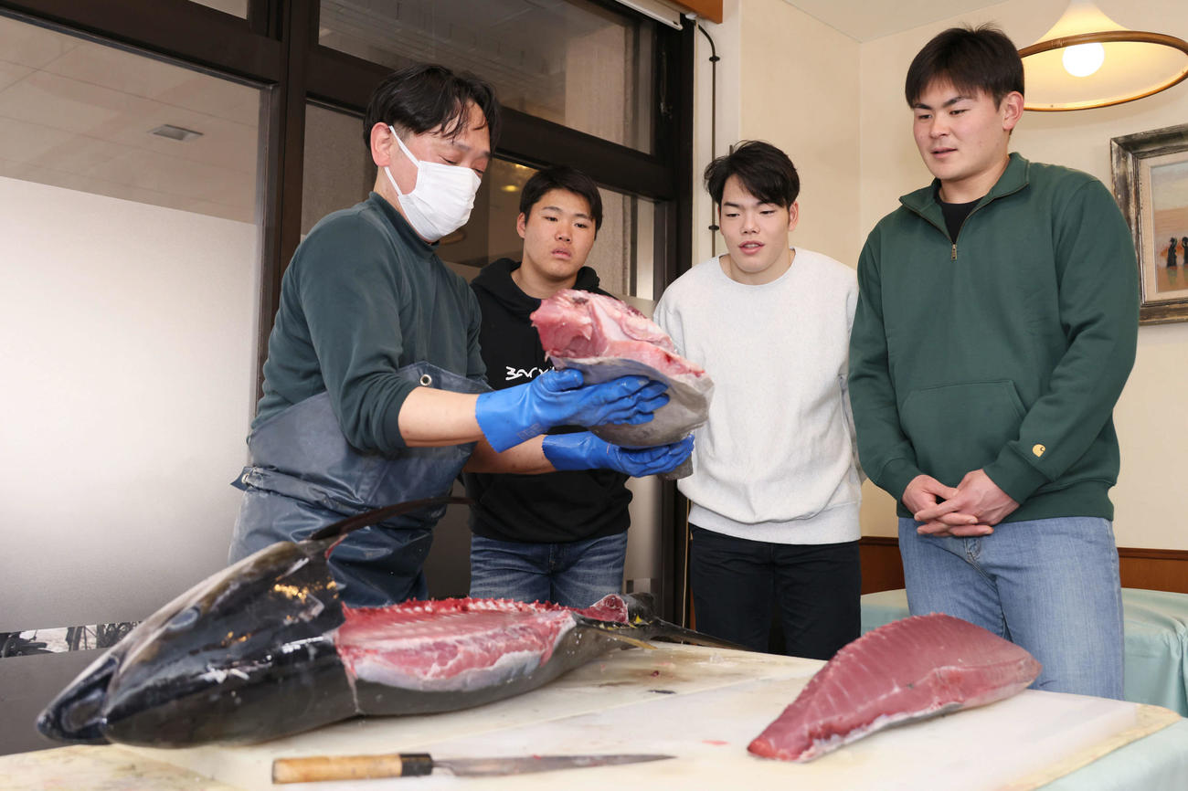マグロの解体ショーを見学する左2人目から広島ドラフト2位の高、ドラフト3位の滝田、ドラフト5位の赤塚（撮影・加藤孝規）