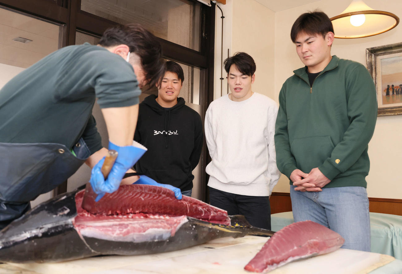 キャンプ初の休日、マグロの解体ショーを見学する左2人目から広島ドラフト2位の高、ドラフト3位の滝田、ドラフト5位の赤塚（撮影・加藤孝規）