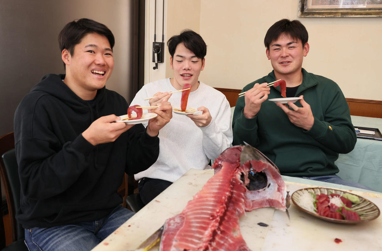 キャンプ初の休日、キャンプ初の休日、マグロの解体ショー後、キハダマグロの刺身を食べる左から広島ドラフト2位の高、ドラフト3位の滝田、ドラフト5位の赤塚（撮影・加藤孝規）