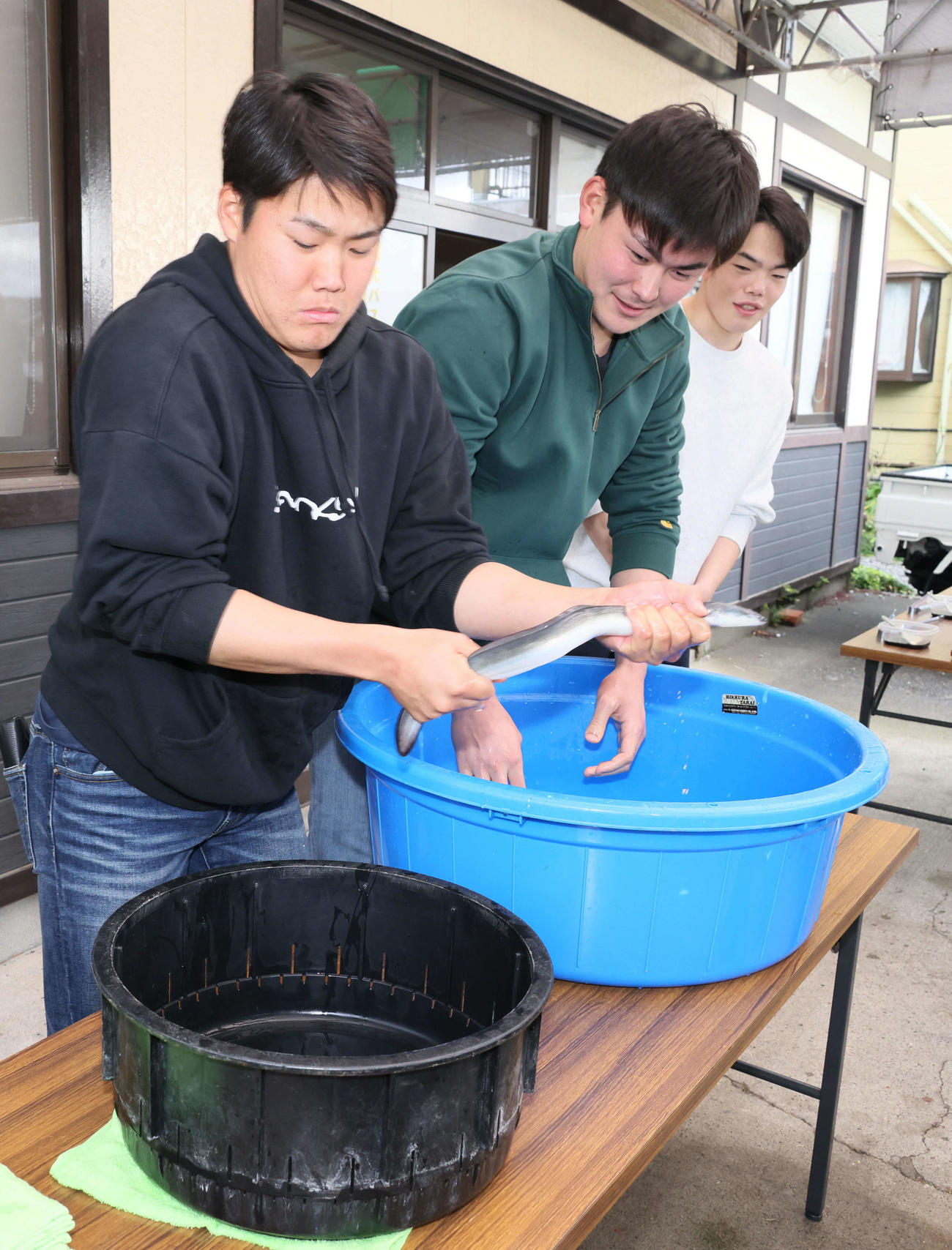 キャンプ初の休日、ウナギのつかみ取りをする左から広島ドラフト2位の高、ドラフト5位の赤塚、ドラフト3位の滝田（撮影・加藤孝規）