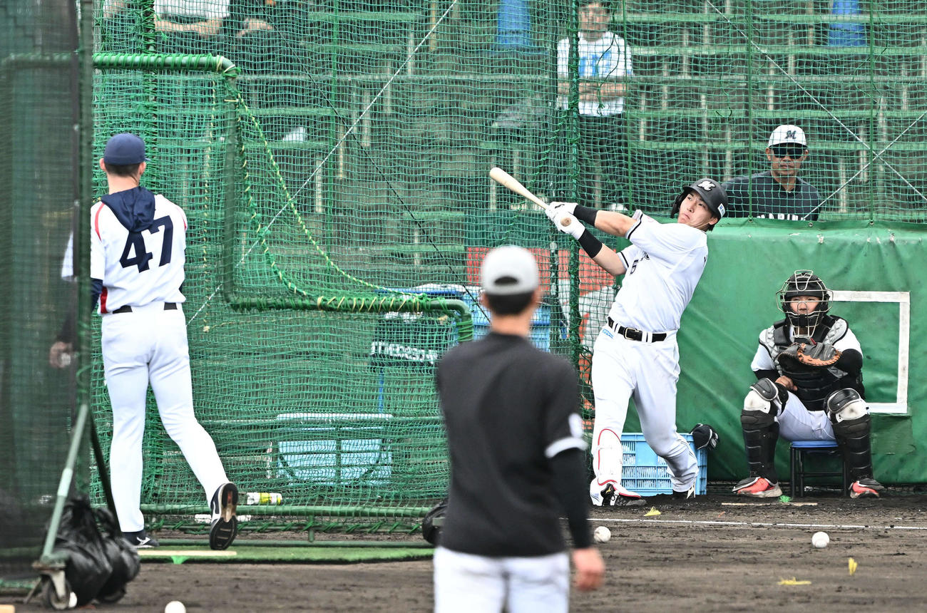 特打で柵越えするロッテ安田。打撃投手チェコ代表ダーハクコーチ（撮影・滝沢徹郎）
