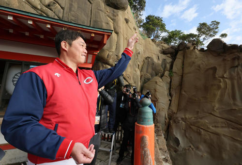 鵜戸神宮を参拝後、亀石に運玉を投げ込む広島新井監督（撮影・加藤孝規）
