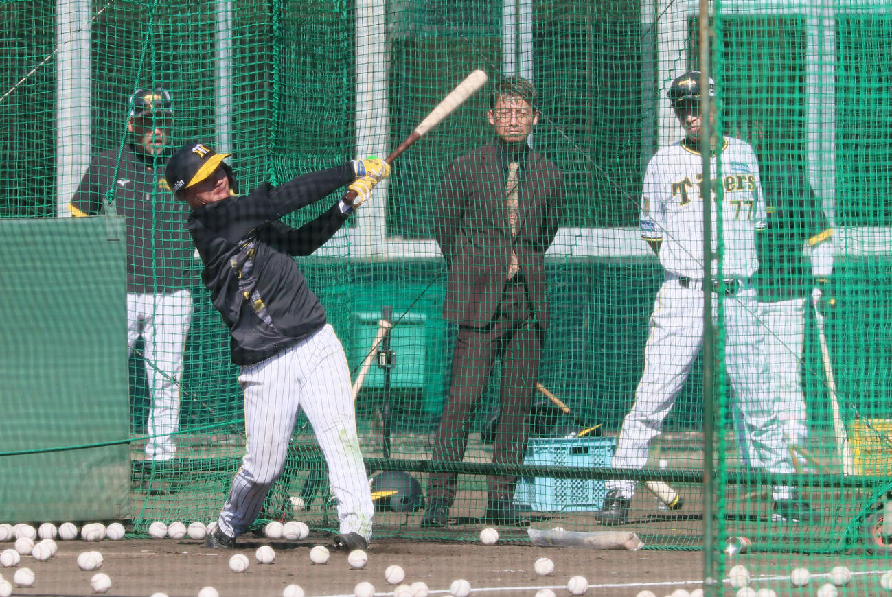 1日、フリー打撃練習を行う森下は、鳥谷敬氏（中央）、今岡コーチ（右）の注目を集める