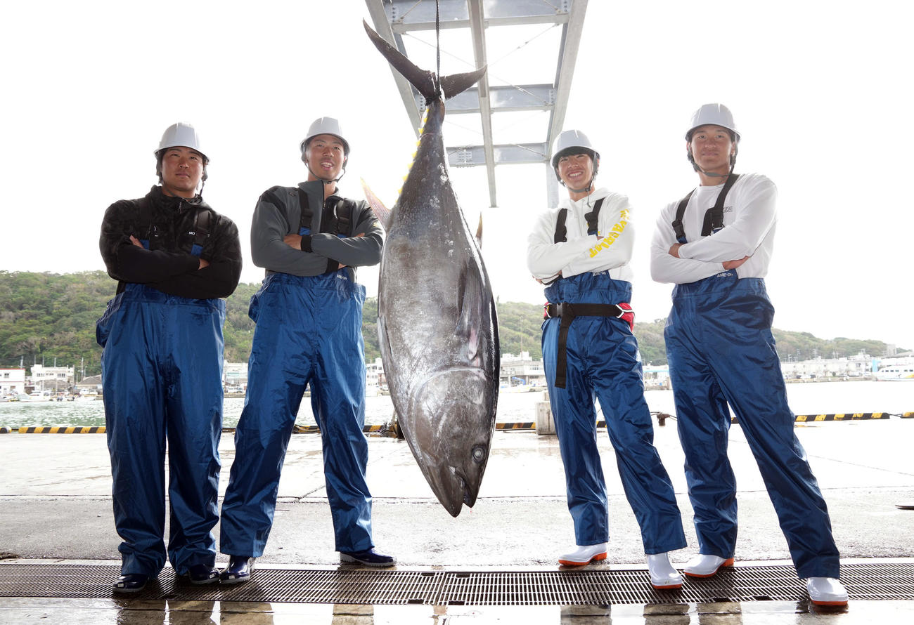 巨大マグロと記念撮影をするDeNAの新人。左から石上、松本凌、度会、井上（撮影・たえ見朱実）