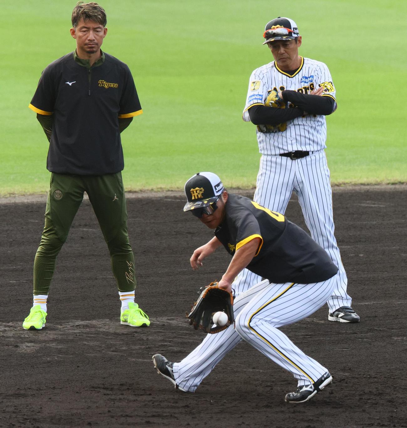 早出ノックを受ける阪神小野寺（手前）を見る鳥谷臨時コーチ（左）と藤本内野守備走塁コーチ（撮影・上山淳一）