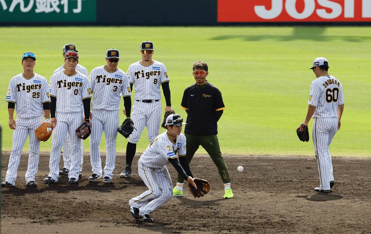 阪神春季キャンプ　守備指導をする鳥谷臨時コーチ（撮影・藤尾明華）