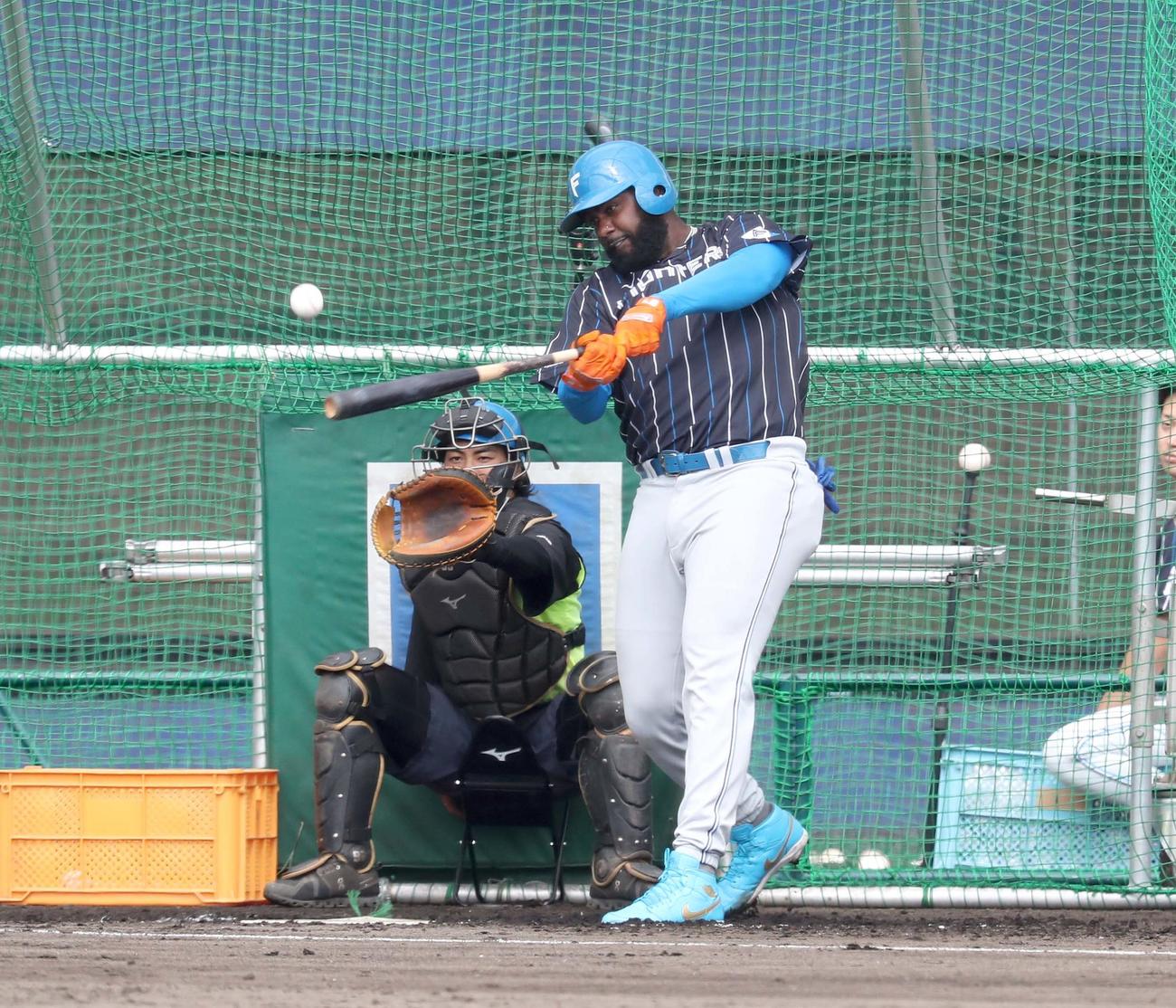 フリー打撃でバックスクリーン越えの打球を放つレイエス（撮影・黒川智章）