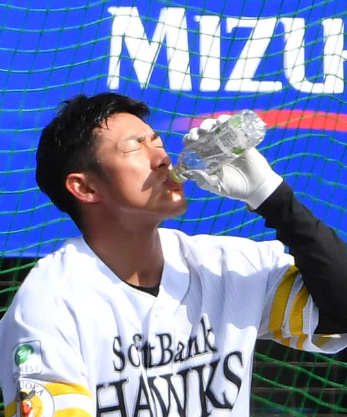 豪快にMIZU（水）を飲むソフトバンク柳田（撮影・岩下翔太）