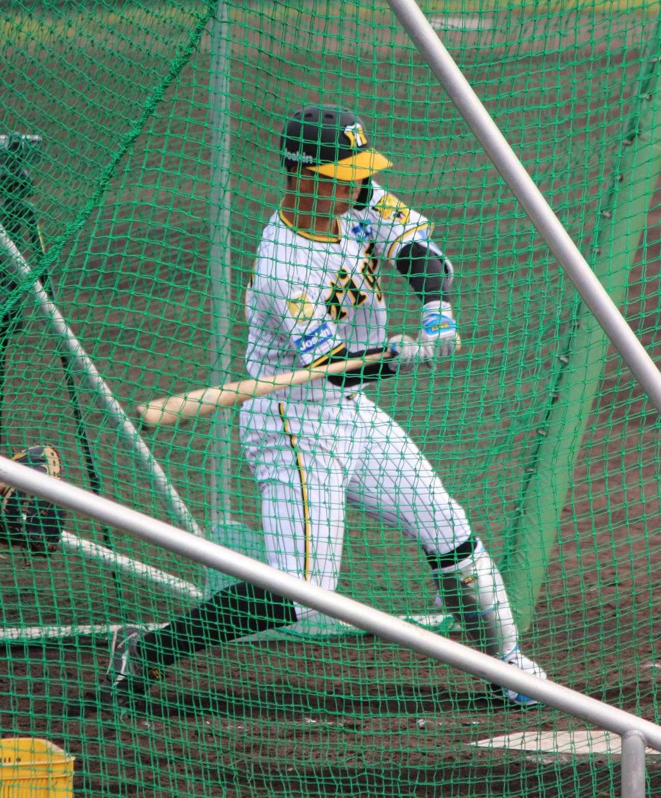 2軍キャンプのフリー打撃で初めて投手と対戦した阪神百崎蒼生（撮影・柏原誠）