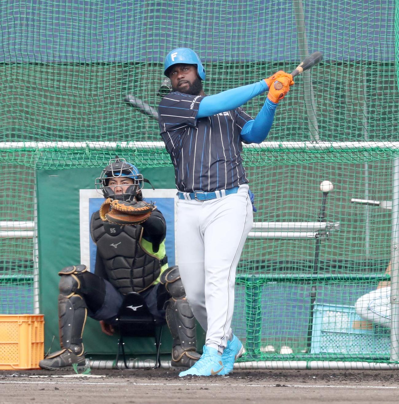 フリー打撃でバックスクリーン越えの打球を放つレイエス（撮影・黒川智章）