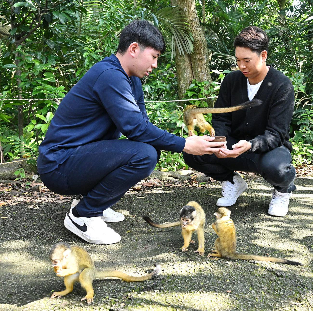 休日に石垣やいま村を訪れリスザルにえさをあげる、ロッテ寺地（左）と上田（撮影・滝沢徹郎）