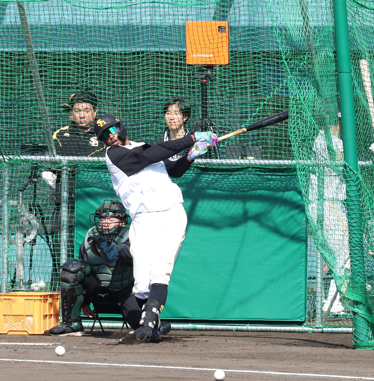 打撃練習をするウォーカー（撮影・梅根麻紀）