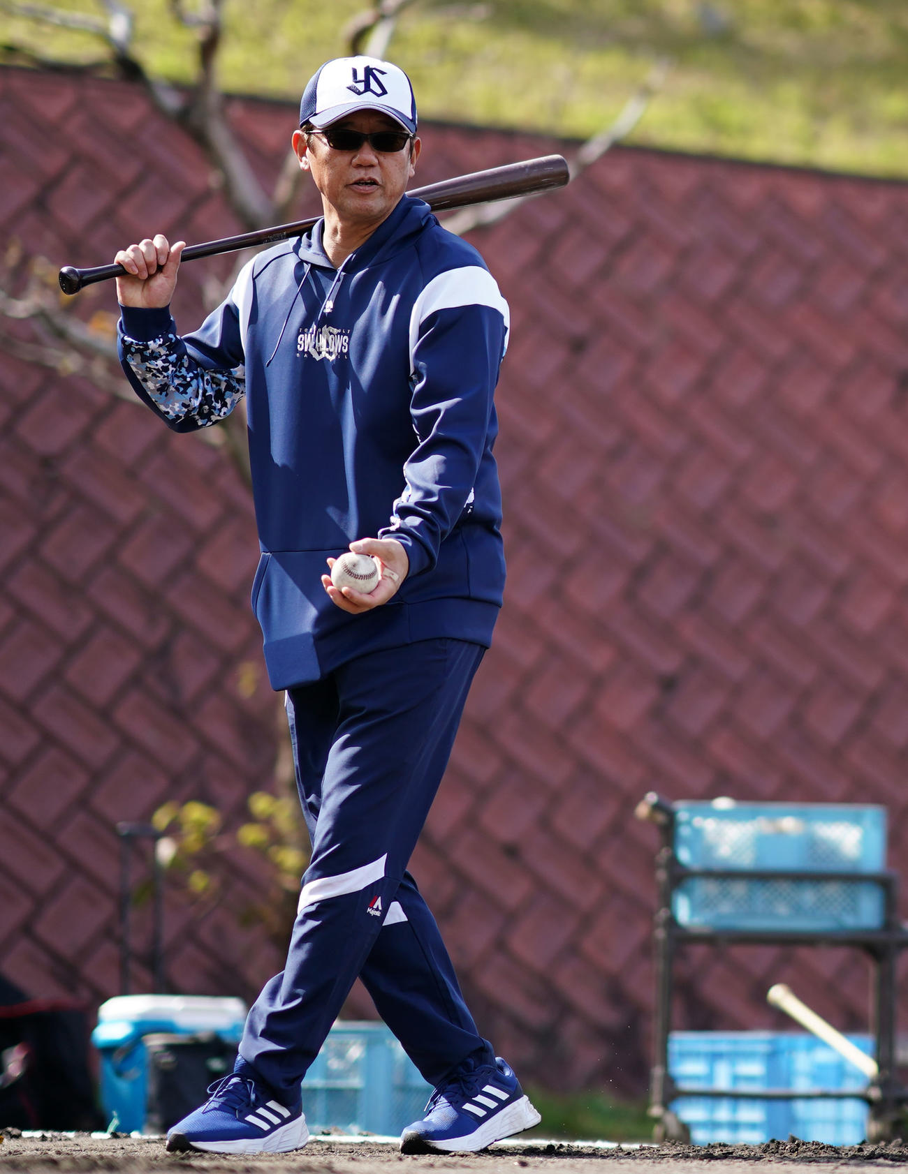 ノックをするヤクルト古田臨時コーチ（撮影・横山健太）