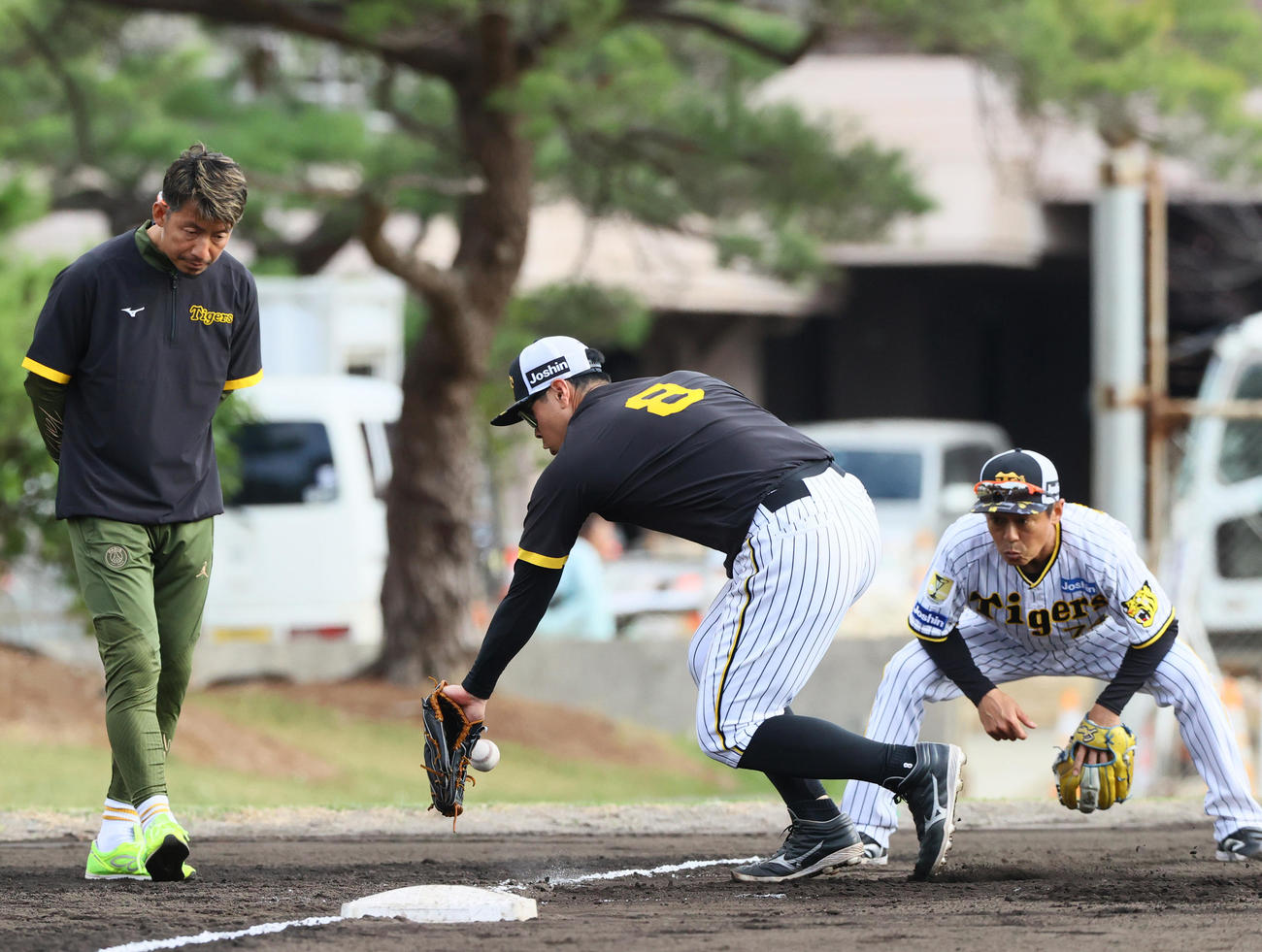 阪神佐藤輝（手前）の守備を見る鳥谷臨時コーチ（左）と藤本内野守備走塁コーチ（撮影・上山淳一）