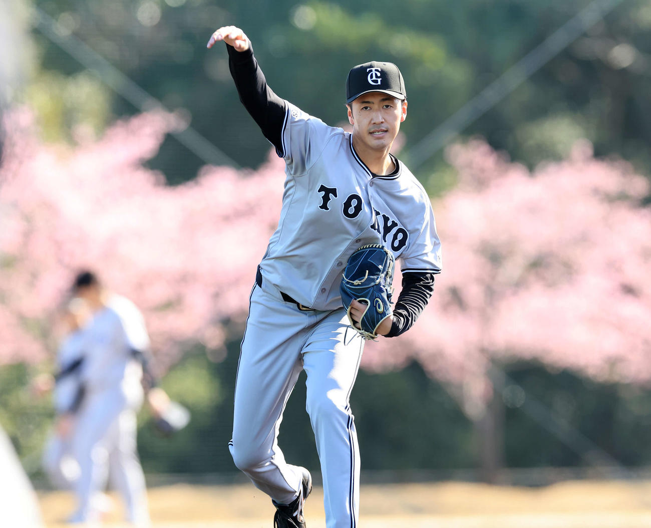 満開の河津桜を背にノックを受ける巨人西舘（撮影・浅見桂子）