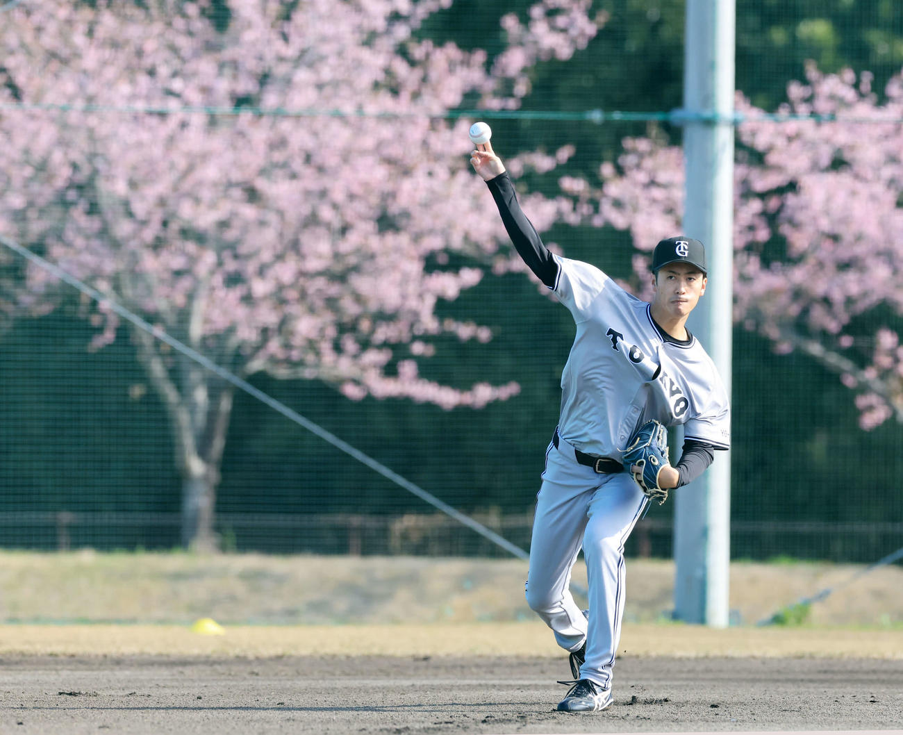 満開の河津桜を背にキャッチボールする巨人西舘（撮影・浅見桂子）