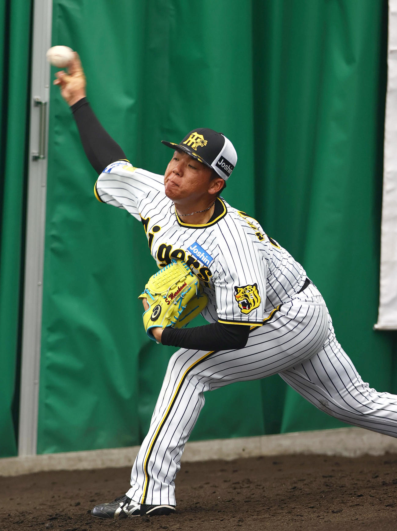 ブルペンで投げ込む阪神村上（撮影・上山淳一）