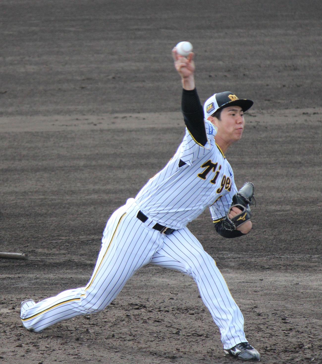 2軍キャンプでフリー打撃に初登板した阪神石黒（撮影・柏原誠）