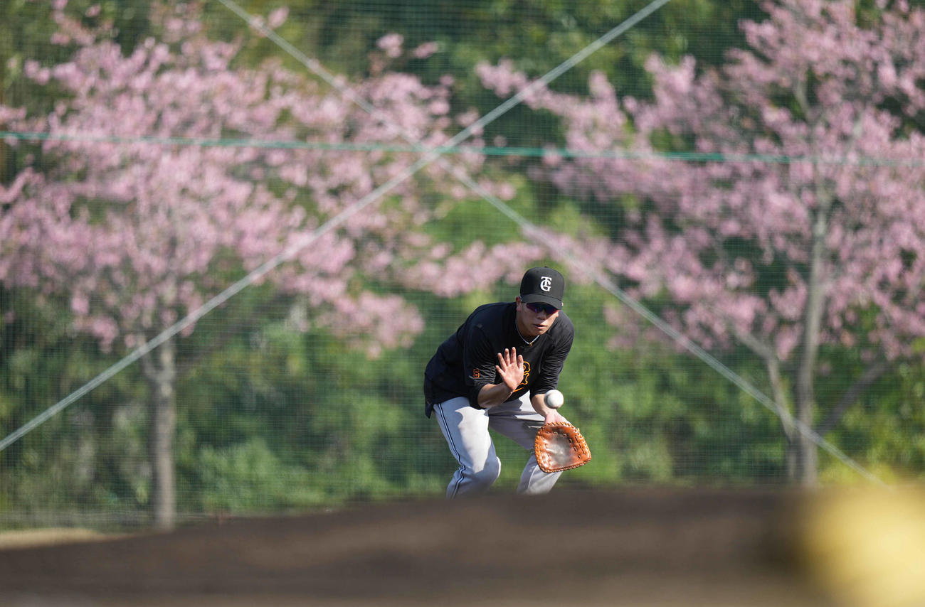居残り特守を受ける巨人門脇（撮影・鈴木みどり）
