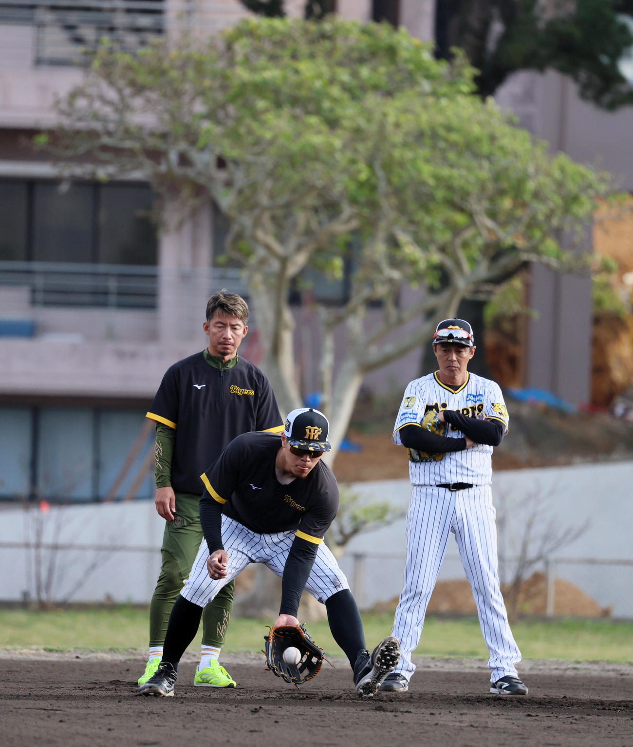 特守で捕球する佐藤輝。左は鳥谷臨時コーチ。右は藤本コーチ（撮影・加藤哉）