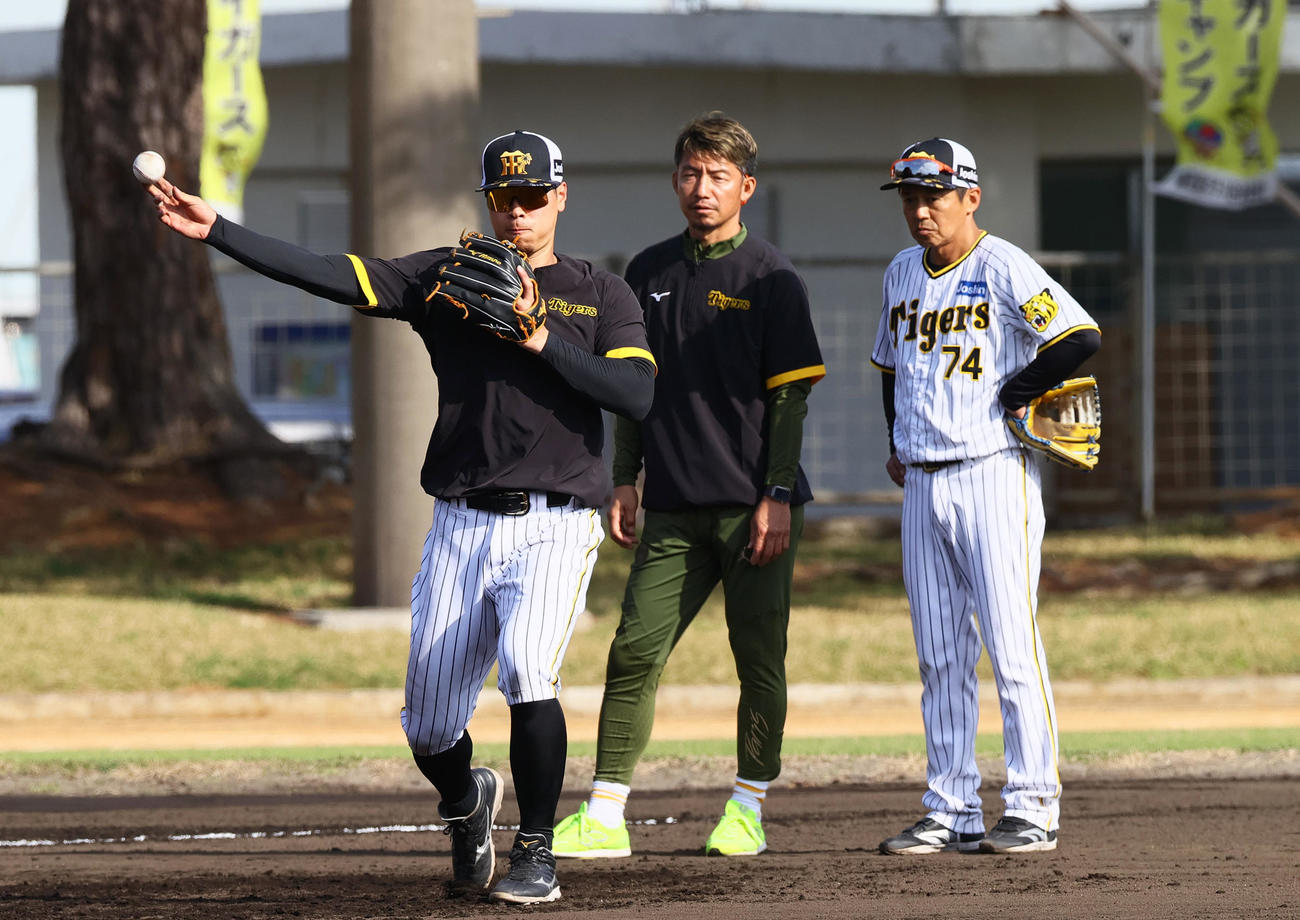 阪神佐藤輝（左）の送球を見つめる鳥谷臨時コーチ（中央）と藤本内野守備走塁コーチ（撮影・上山淳一）