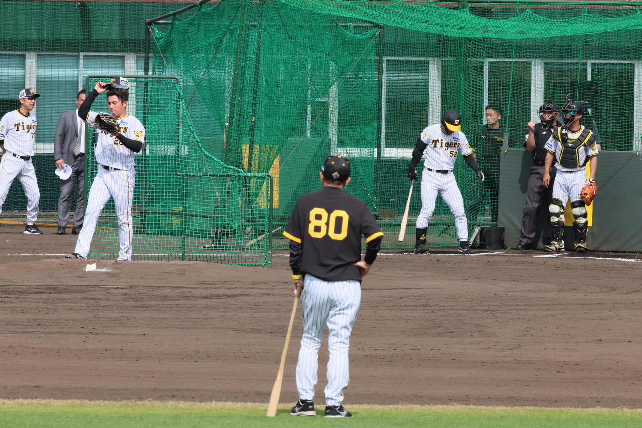 ランチ特打に打撃投手として登板した椎葉。中央背中は岡田監督、打者は前川（撮影・加藤哉）