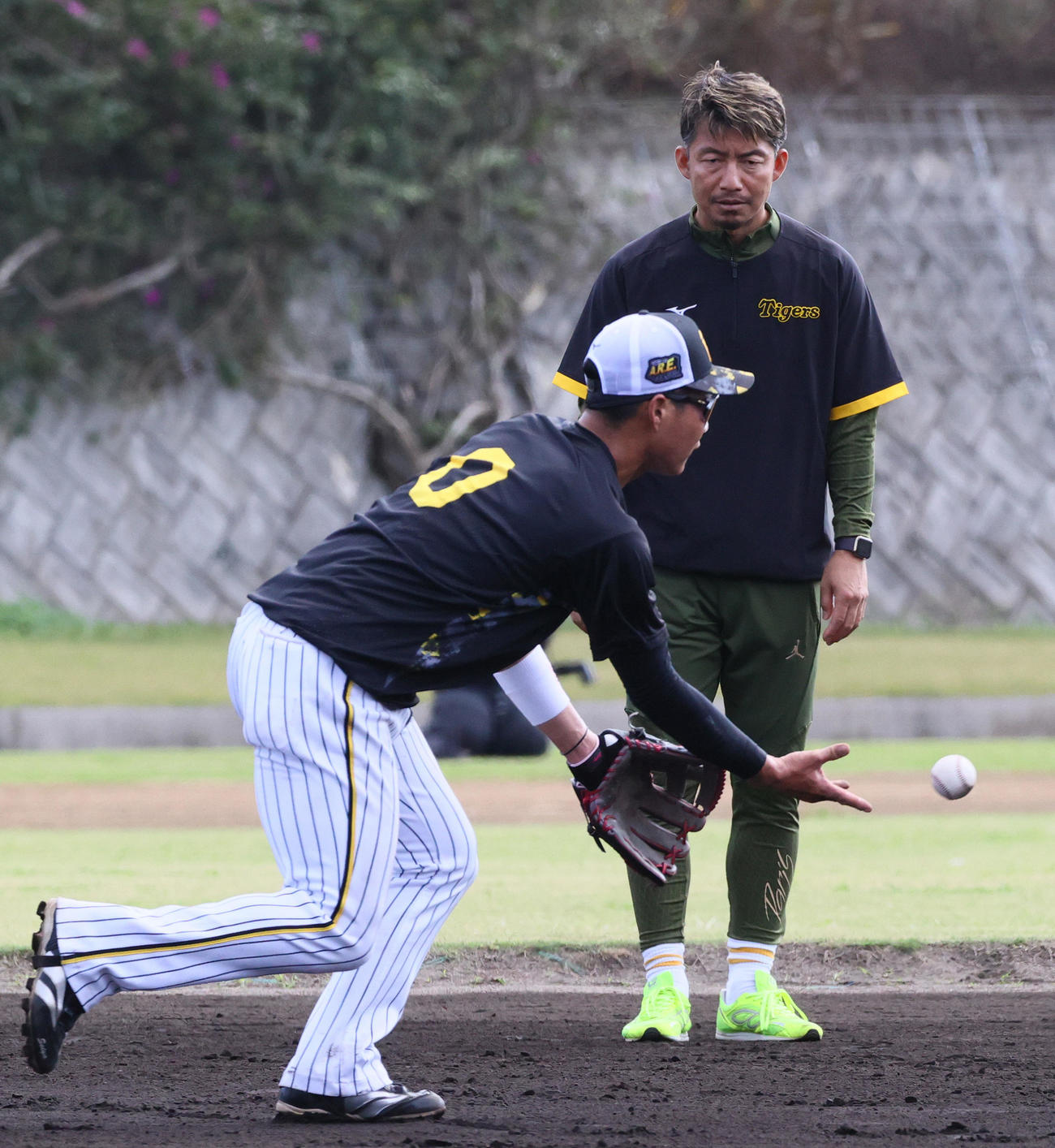 阪神木浪（手前の守備を見る鳥谷臨時コーチ撮影・上山淳一）