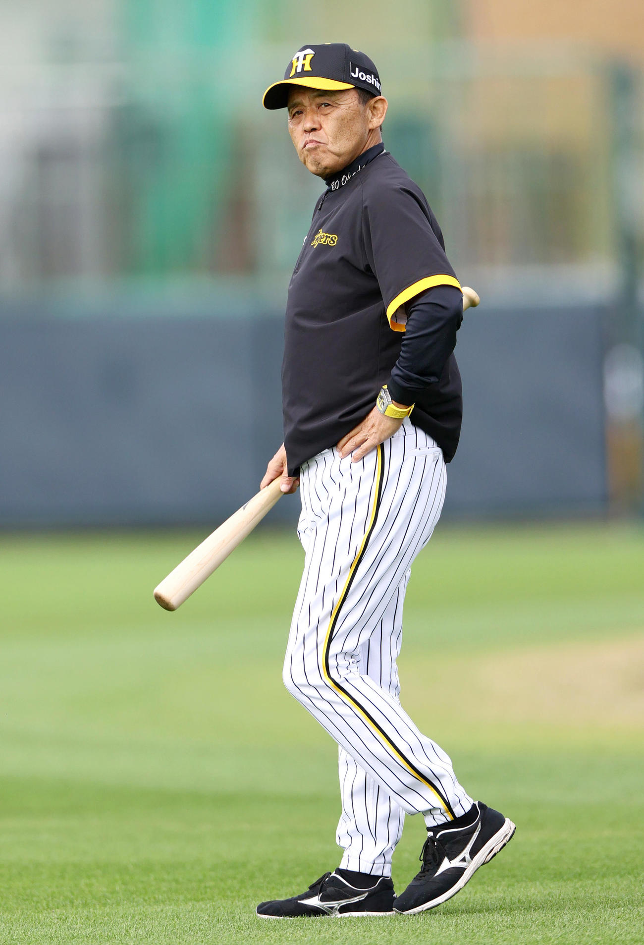 阪神岡田監督は練習を見守る（撮影・上山淳一）