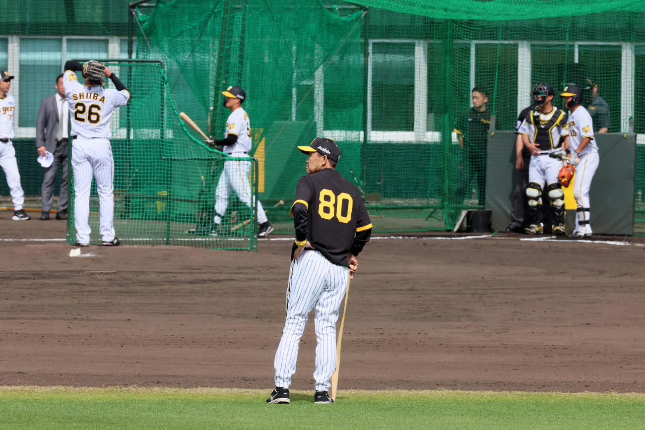 打撃投手で登板した椎葉（左）を後方から見る岡田監督。打席は小野寺（撮影・加藤哉）