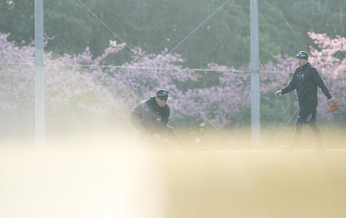 早出練習で、朝日を浴びながらノックを受ける巨人中山。右は泉口（撮影・鈴木みどり）