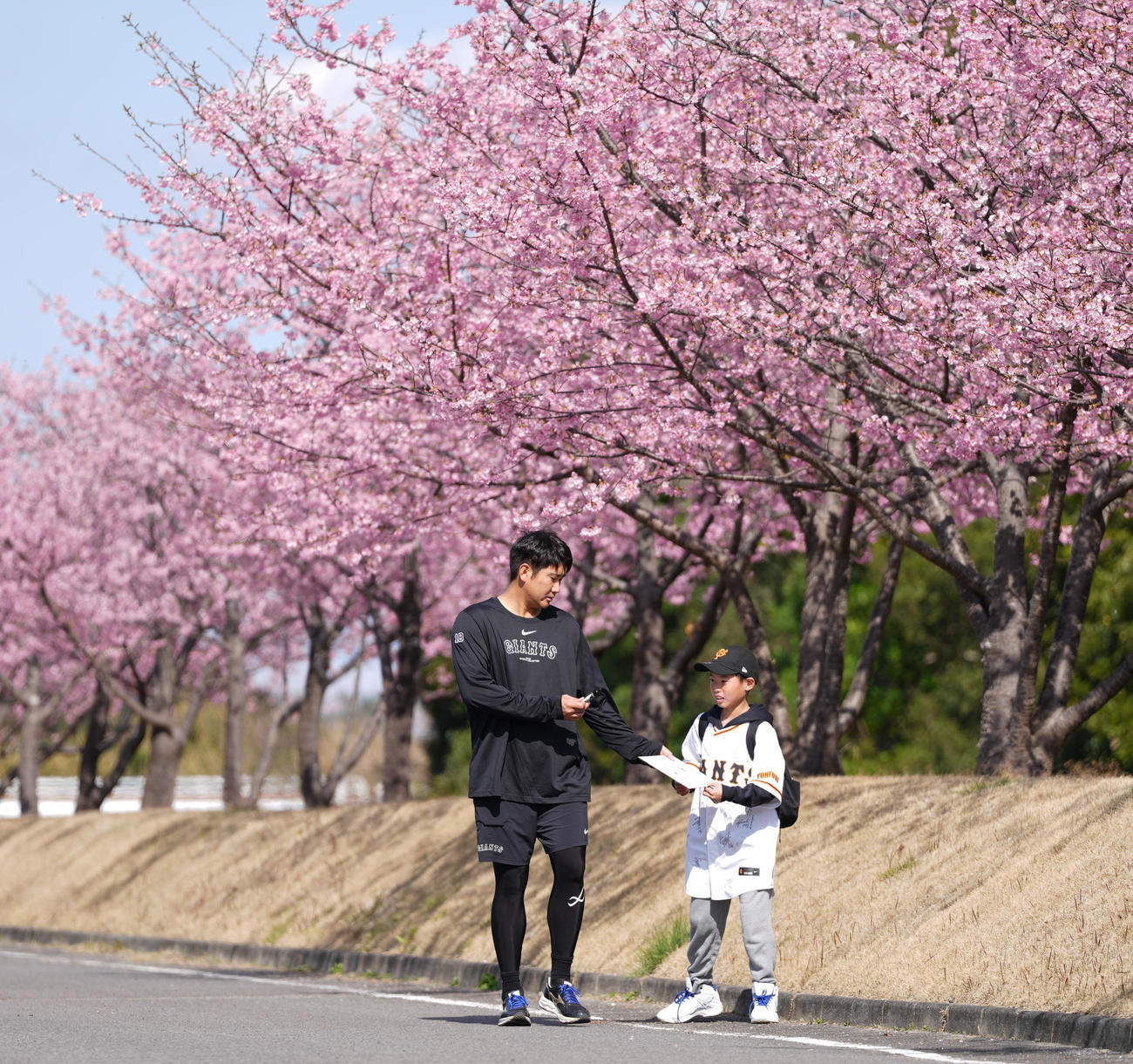 移動中、河津桜の前でファンにサインする巨人菅野（撮影・鈴木みどり）