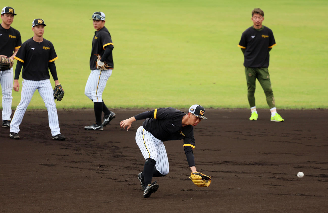 早出特守でボールを捕球する百崎。右は鳥谷臨時コーチ（撮影・加藤哉）