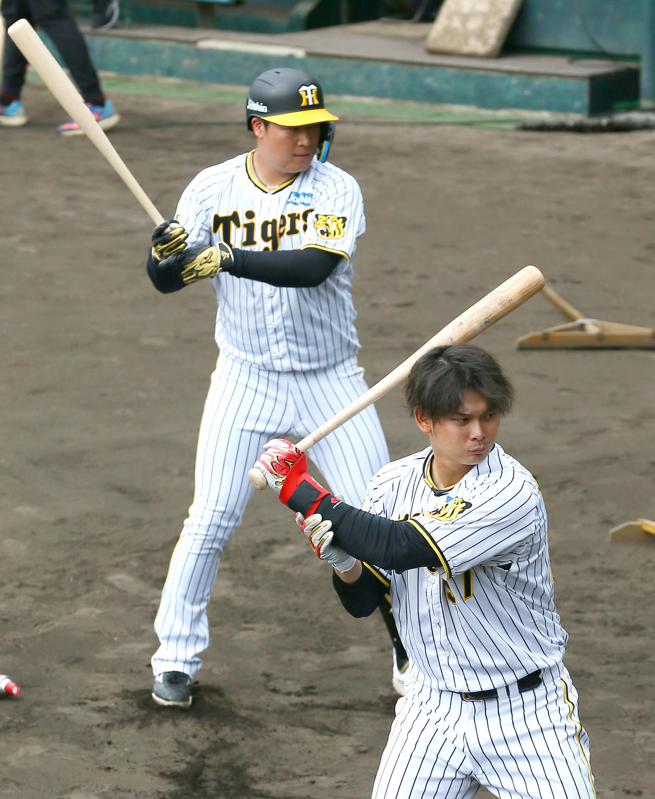 トス打撃する阪神野口（手前）と阪神大山（撮影・上山淳一）
