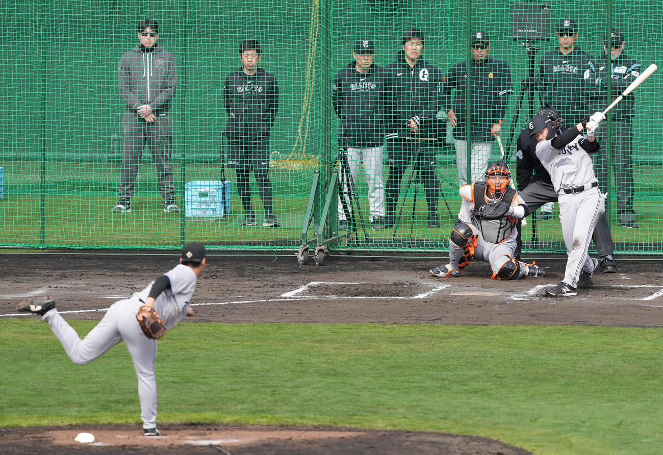 シート打撃で巨人萩尾を空振り三振に仕留める又木。後列右から3人目は阿部監督（撮影・鈴木みどり）
