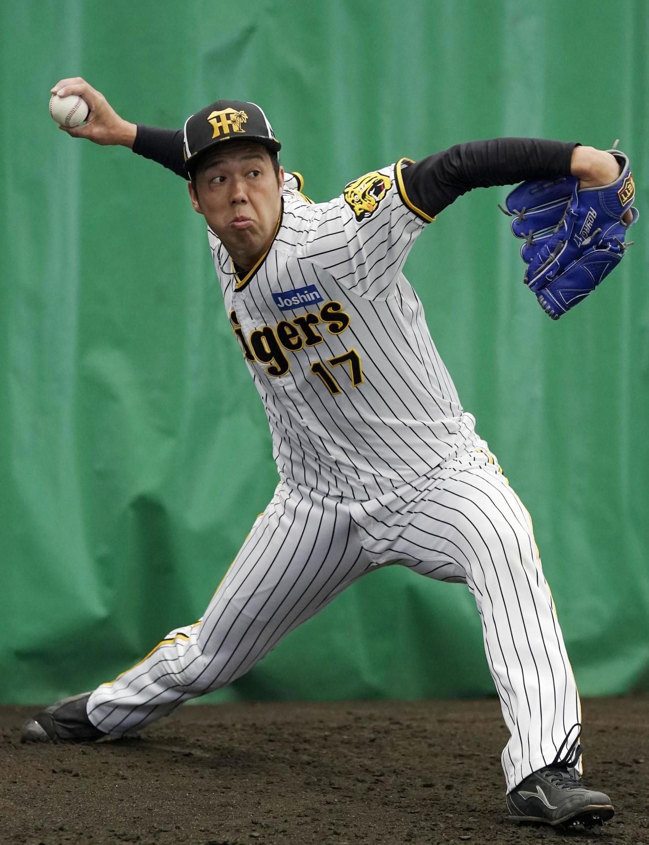 ブルペンで投球練習する阪神青柳（共同）